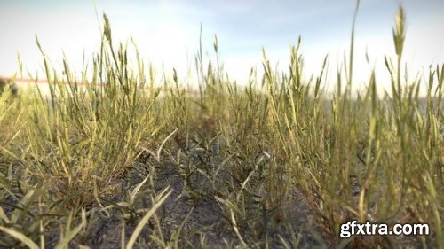 Simple Grass 02 3d Model