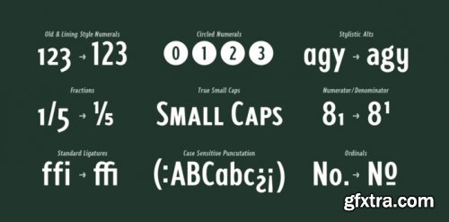 VTC Fellbaum Grotesk Complete Family