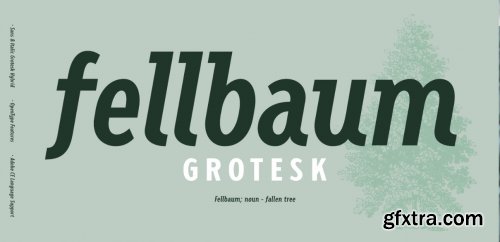 VTC Fellbaum Grotesk Complete Family