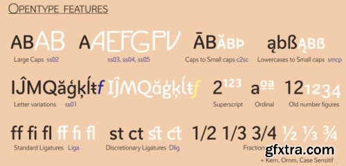 Axeo Sans Complete Family