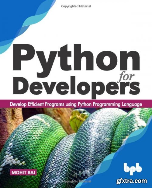 Python for Developers: Learn to Develop Efficient Programs using Python