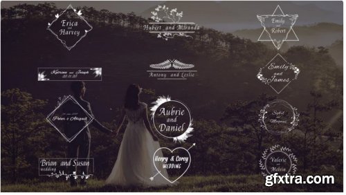 Gorgeous Wedding Titles 335538