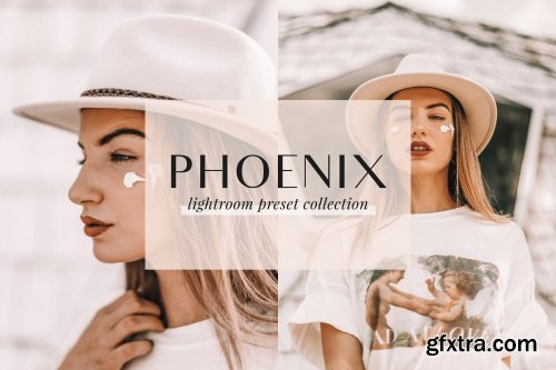 CreativeMarket - Phoenix Lightroom Presets 4437457