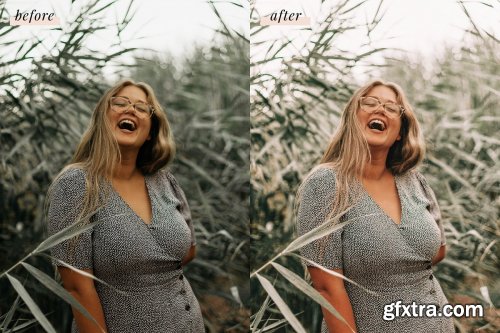 CreativeMarket - Phoenix Lightroom Presets 4437457