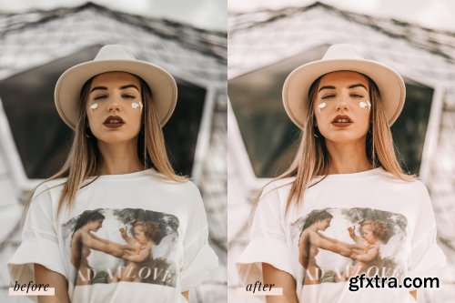 CreativeMarket - Phoenix Lightroom Presets 4437457