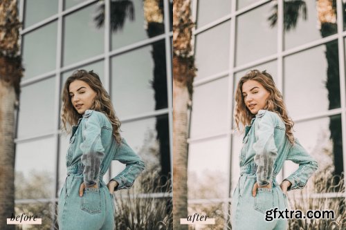 CreativeMarket - Phoenix Lightroom Presets 4437457