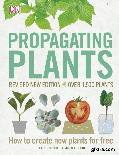 Propagating Plants: How to Create New Plants for Free