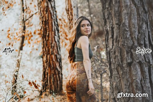 CreativeMarket - THE AUTUMN LIGHTROOM PRESETS 4438933