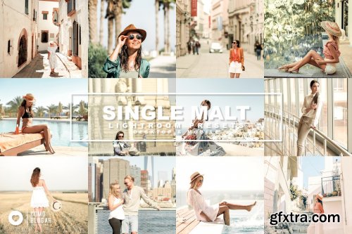 CreativeMarket - 70. Single Malt Presets 4489496