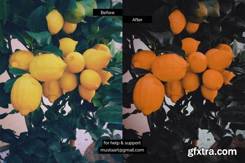 CreativeMarket - Black x Orange - Urban CR Filter 4492472