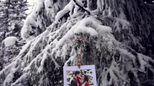 Photos in the winter forest - 12519846