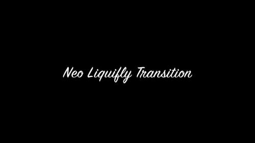 Neo Liquid Matte Transition - 14232912