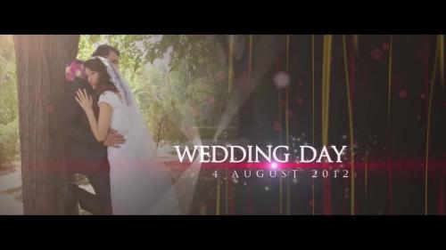 Wedding Teaser - 13176944