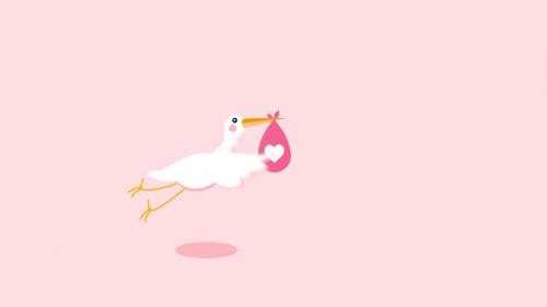 Stork - Baby Birthday Opener - 12951147