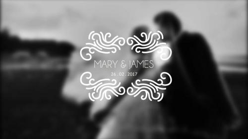 Premium Wedding Titles After Effect Template V17 - 12341087