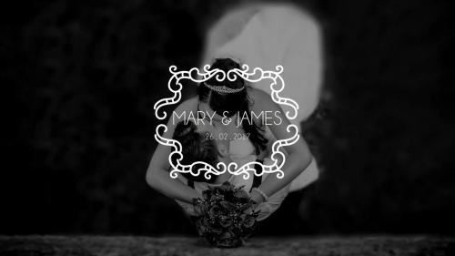 Premium Wedding Titles After Effect Template V19 - 12341122