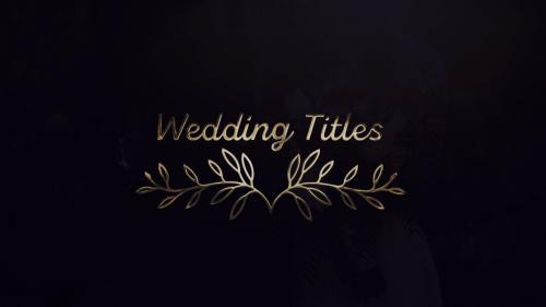 Wedding Titles - 12595490