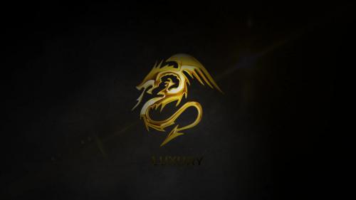Gold & Silver Logo Reveal - 13828369