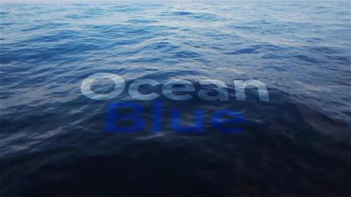 Ocean Title - 13687991