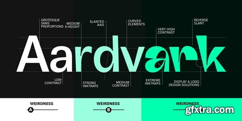 Boring Sans Font Family