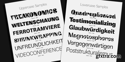 Boring Sans Font Family