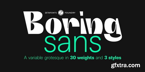 Boring Sans Font Family