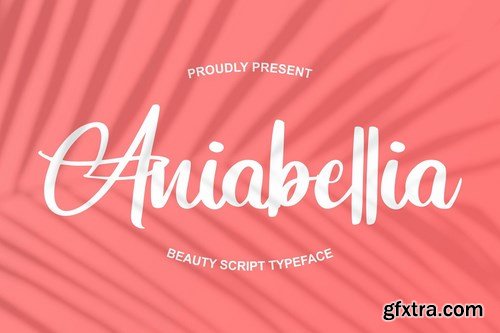 CM - Aniabellia Beauty Script Typeface 4531826
