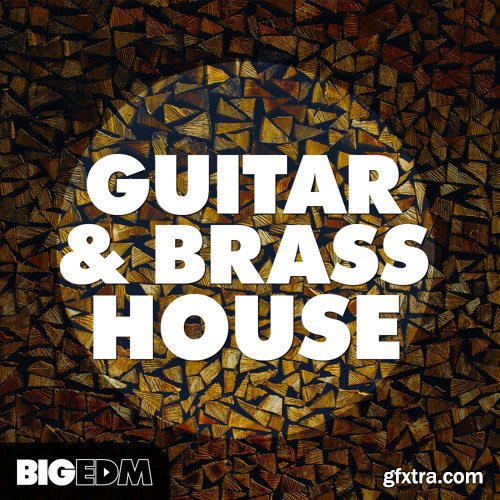 Big EDM Guitar And Brass House WAV MiDi SPiRE SERUM PRESETS