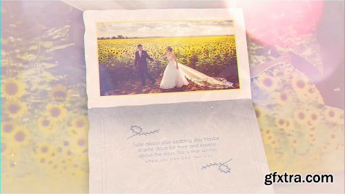 Videohive The Wedding 22659284