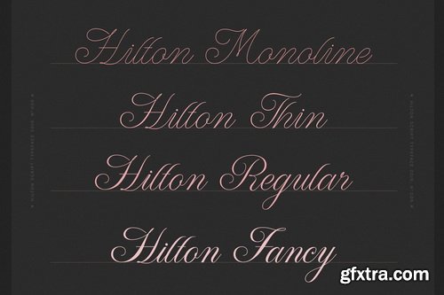 CM - WT Hilton Script - 4313765