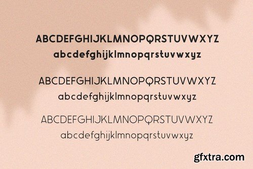 CM - Avocado Sans Font Family 4541832