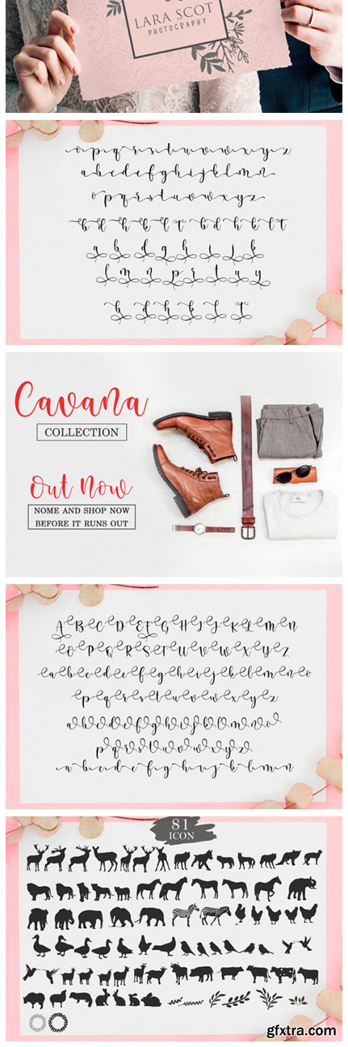 Beauty Script Font