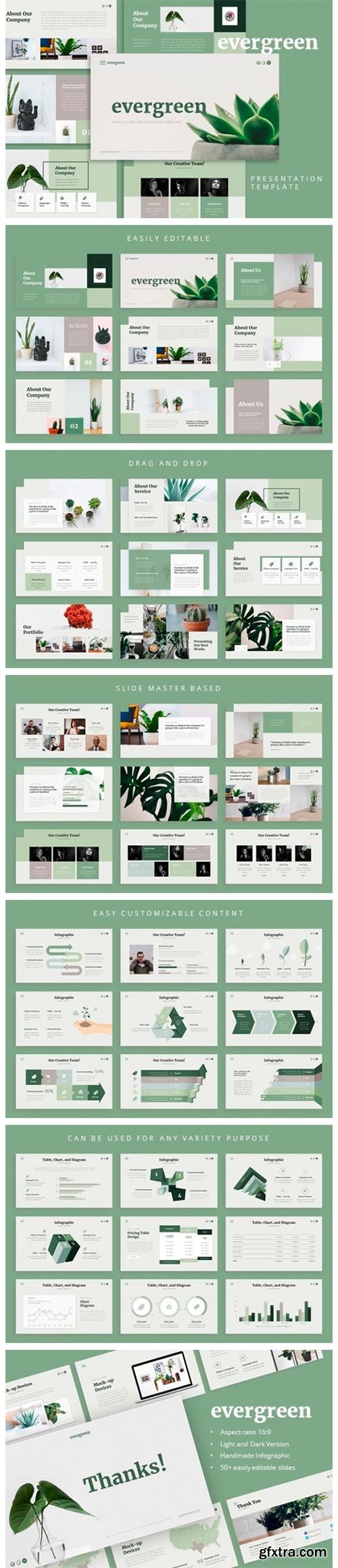 Evergreen PowerPoint Template 2770590