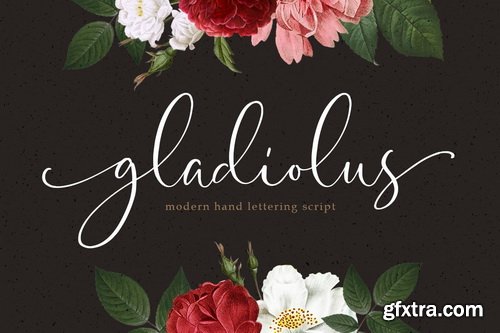 CM - Gladiolus - Modern Calligraphy - 4538077