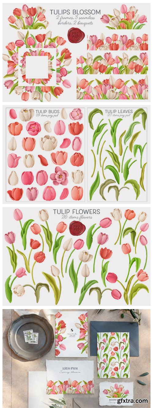 Tulip Flowers Patterns Borders 2774954