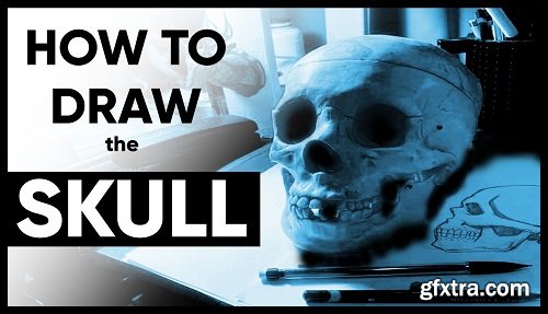 How to Draw a Skull - The Best Way