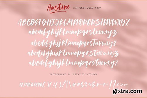 Austine - A Modern Script Font MS