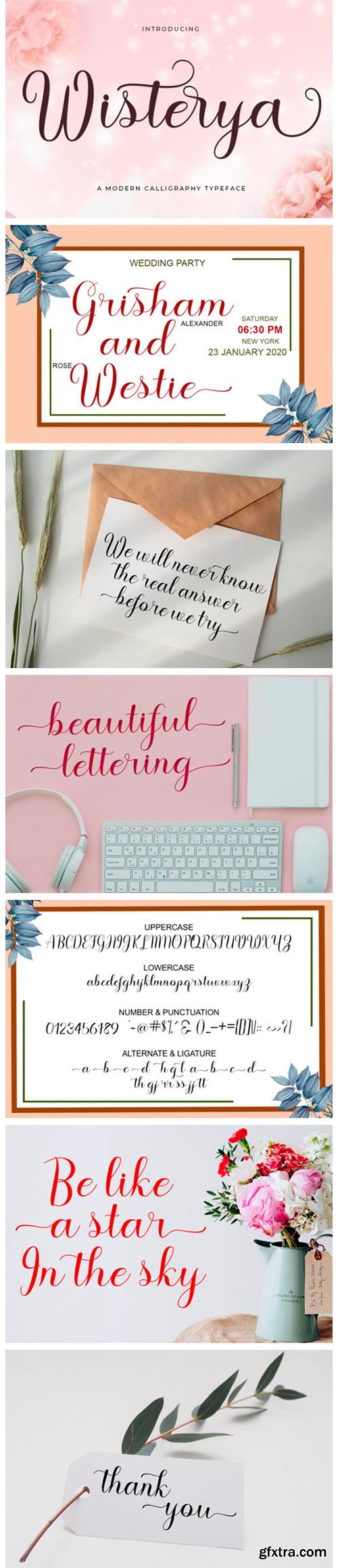 Wisterya Script Font