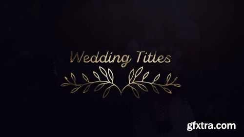 MotionElements Wedding Titles 12595490