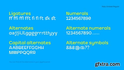 Robu Grotesk Font Family