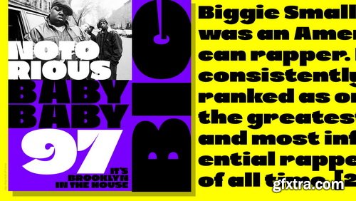 Robu Grotesk Font Family