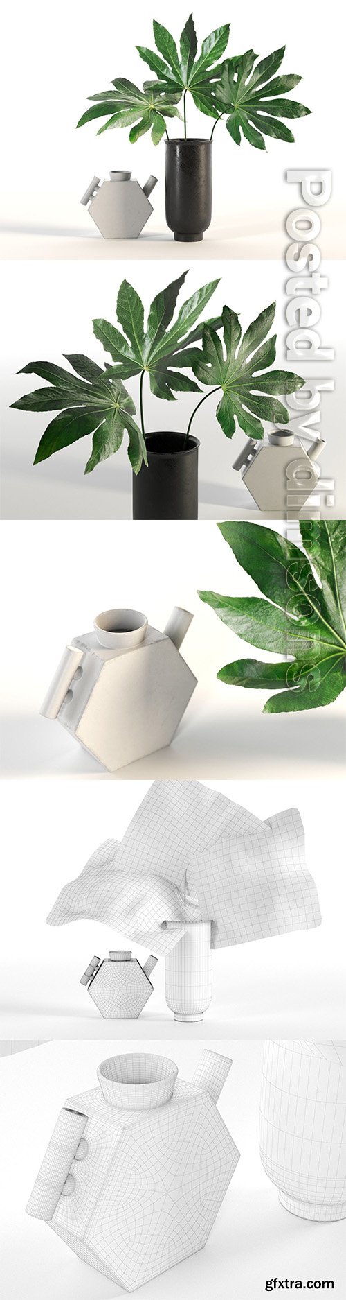 Cgtrader - Aralia and Vases 3D model