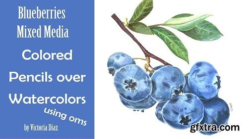 Botanical painting, Blueberries in Mixed Media