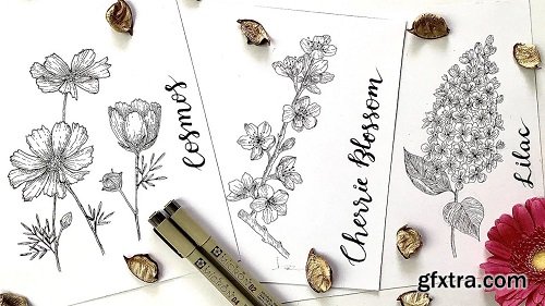 Sketching the Natural World | Step By Step LILAC + CHERRY BLOSSOM + COSMOS Floral Illustration