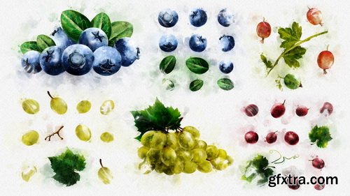 MotionElements - Watercolor Fruits And Vegetables - 12084110