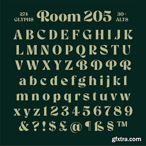 Room 205 Font