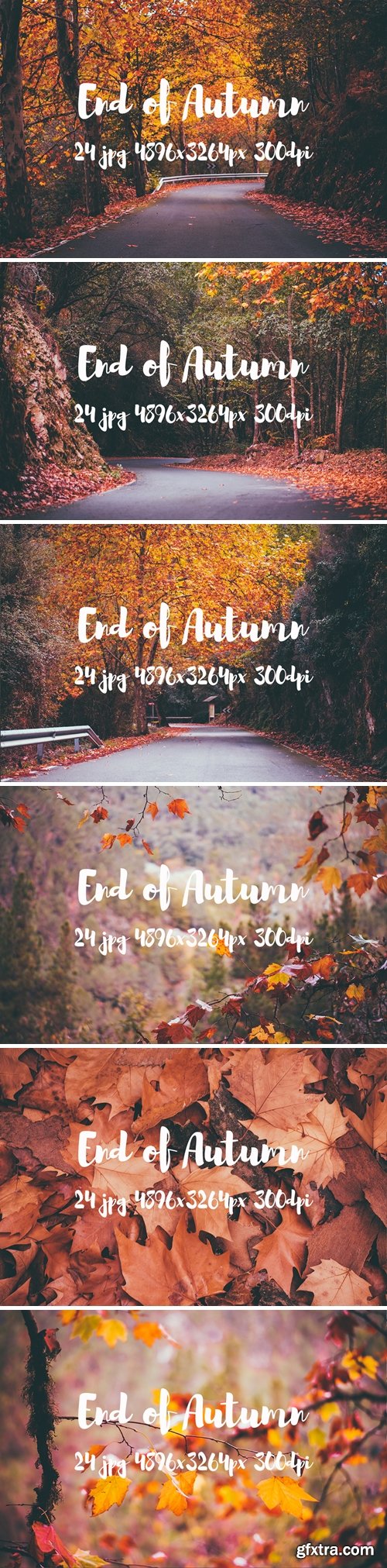 DesignBundles - End of Autumn photo pack 207027