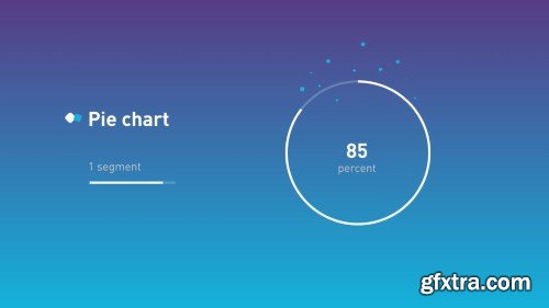 Videohive Infographic flat set 21490010