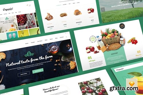 Organici - Organic Store Sketch Template