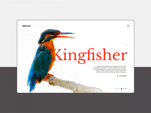 UI/UX/Interaction Design - Kingfisher Landing Page - ui-ux-interaction-design-kingfisher-landing-page-ee81c598-aba5-4bac-a0a4-08851c1456b4